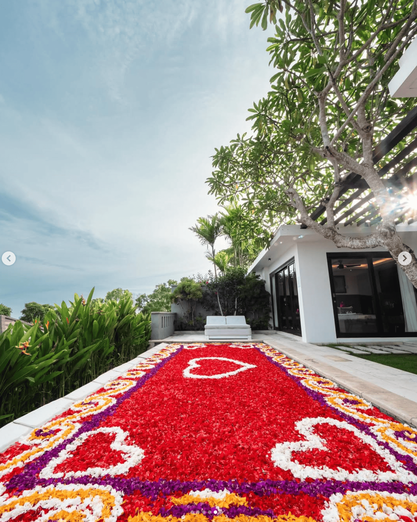 Wedding & Special Occassion